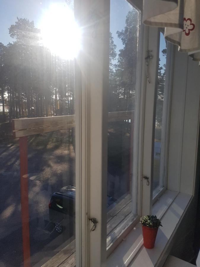 Furudals Vandrarhem Och Sjoecamping エクステリア 写真