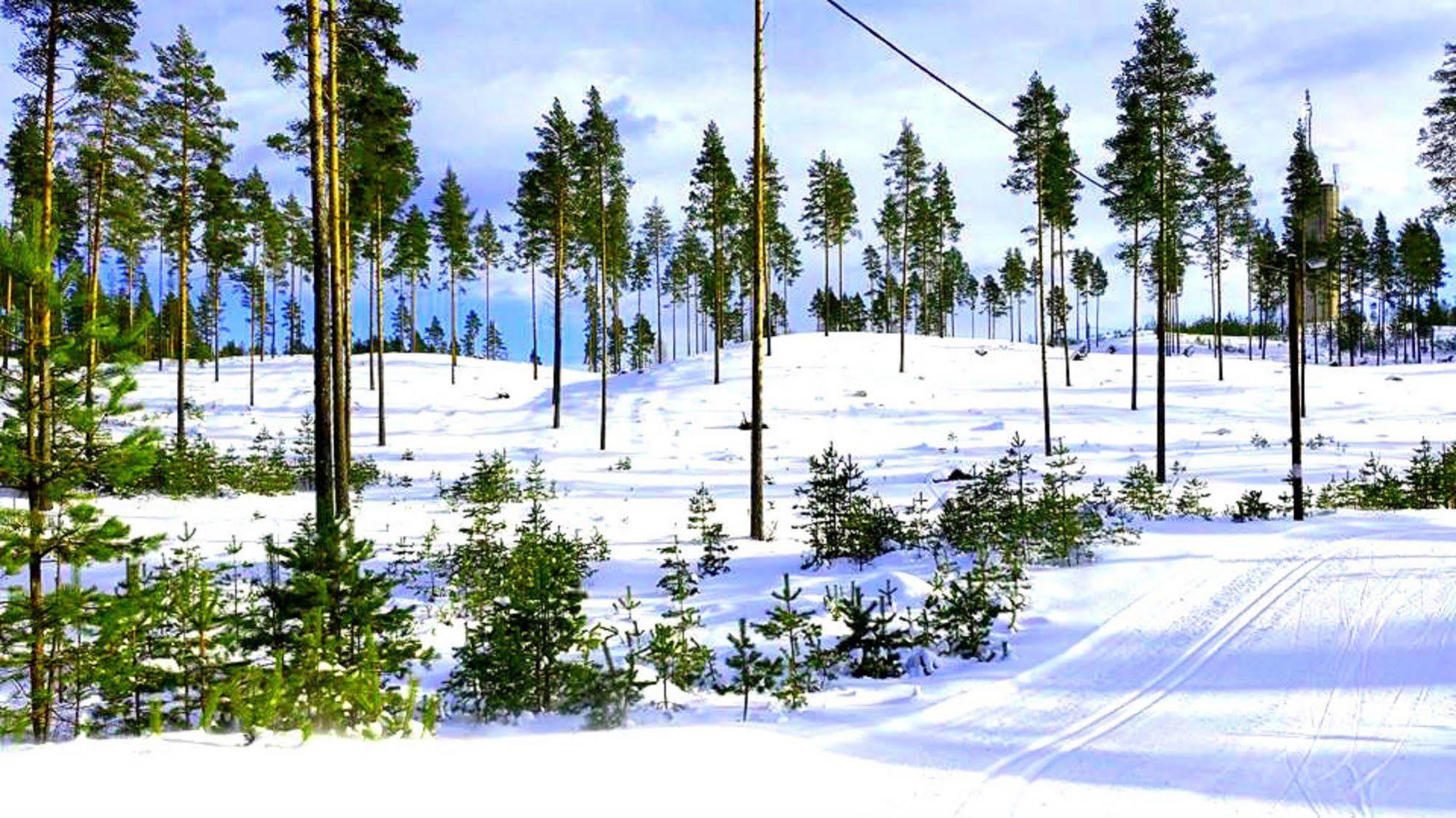 Furudals Vandrarhem Och Sjoecamping エクステリア 写真